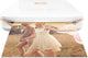 HP Sprocket Plus Photo Printer